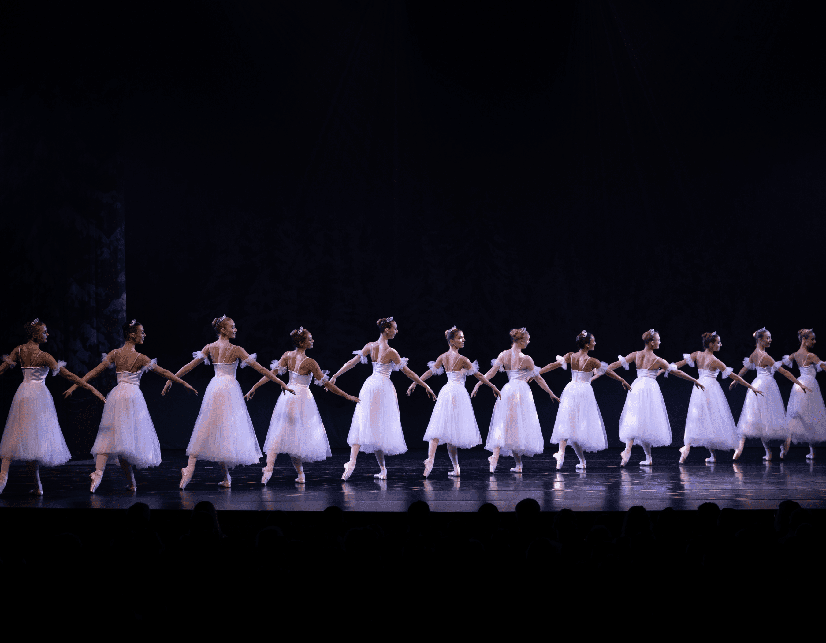 A line of ballerinas in white tutus stands holding hands on a dark stage.