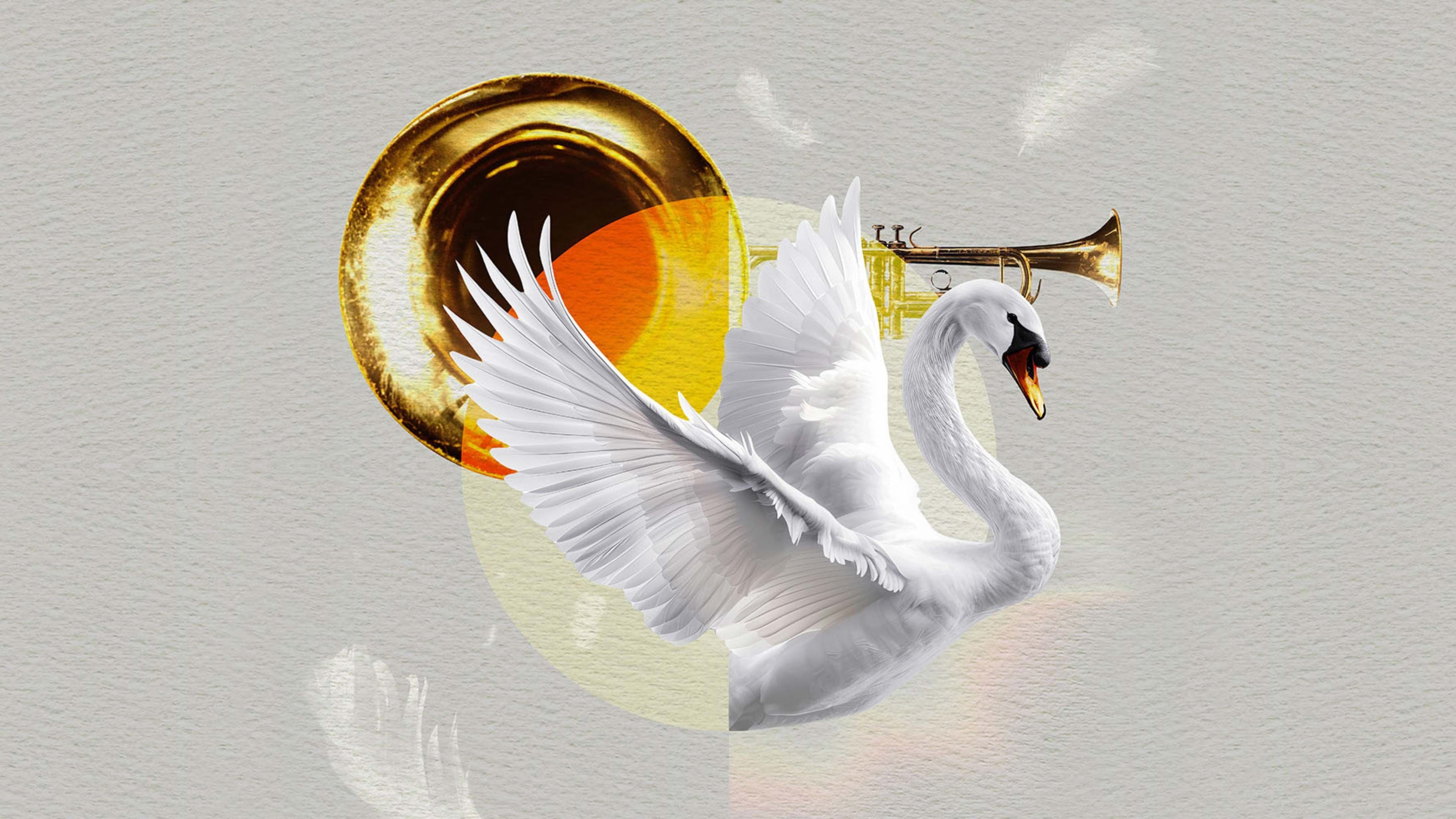 A graceful white swan with musical instruments, a golden trumpet and tuba bell.